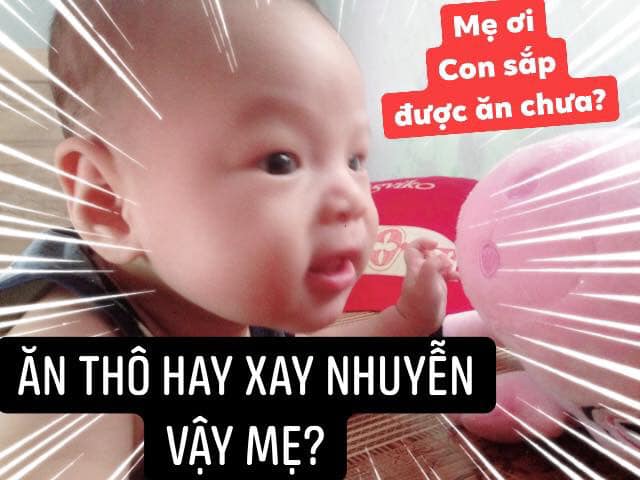 ĂN THÔ HAY XAY NHUYỄN? - Góc nhìn từ chuyên gia